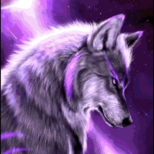 Meet your Posher, Danny